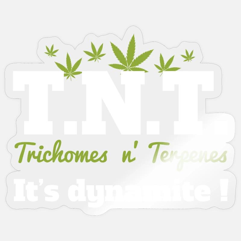 Explosion de saveurs - Sticker taille S (10 x 10 cm) - brillant transparent