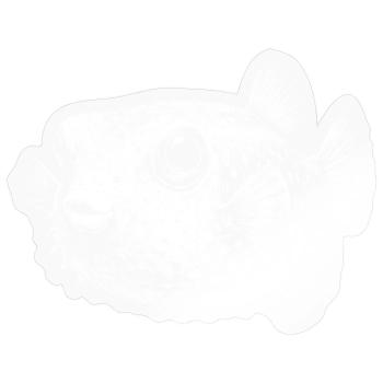 Poisson-globe - Sticker taille S (10 x 10 cm) - brillant transparent - Devant