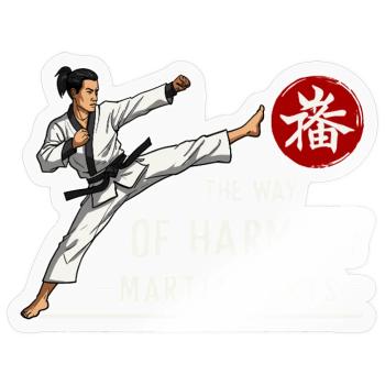 Kampfkunst - Sticker Größe S (10 x 10 cm) - Transparent glänzend - Vorne