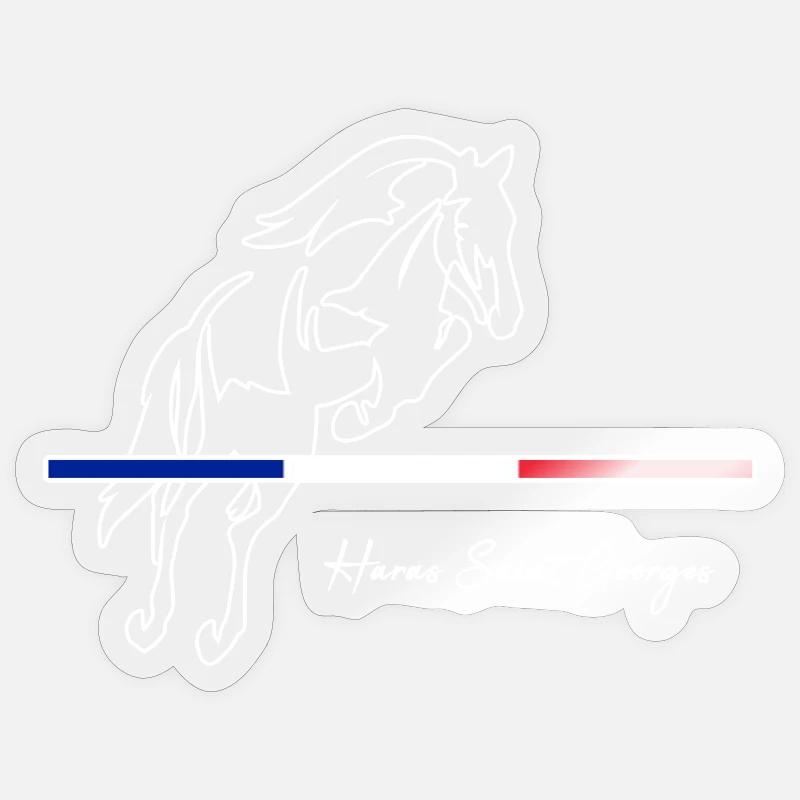 HSGsansfond2 - Sticker Größe S (10 x 10 cm) - Transparent glänzend