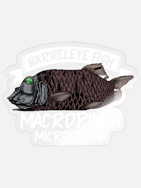 Tiefsee Monster - Barreleye-Fisch - Sticker Größe S (10 x 10 cm) - Transparent glänzend
