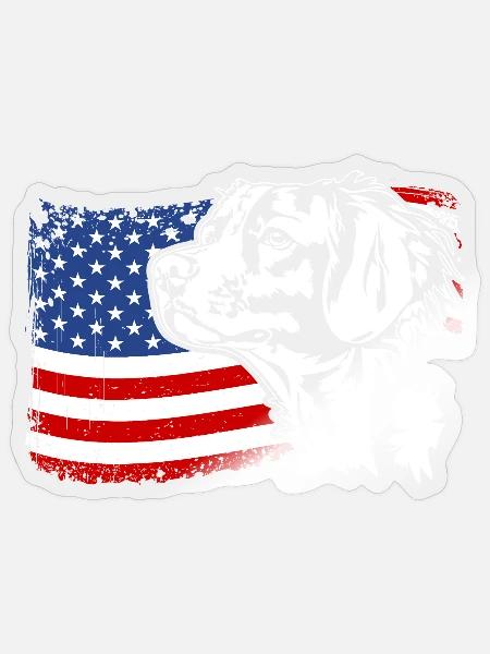 Epagneul Breton US Amerika Fahne Hunde Wilsigns - Sticker Größe S (10 x 10 cm) - Transparent glänzend