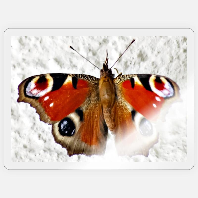 Peacock Eye Butterfly Pattern - Sticker size S (10 x 10 cm) - transparent glossy