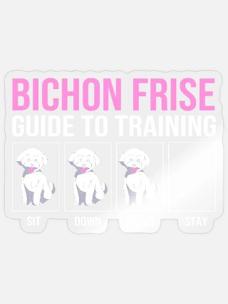 Bichon Frise - Sticker Größe S (10 x 10 cm) - Transparent glänzend