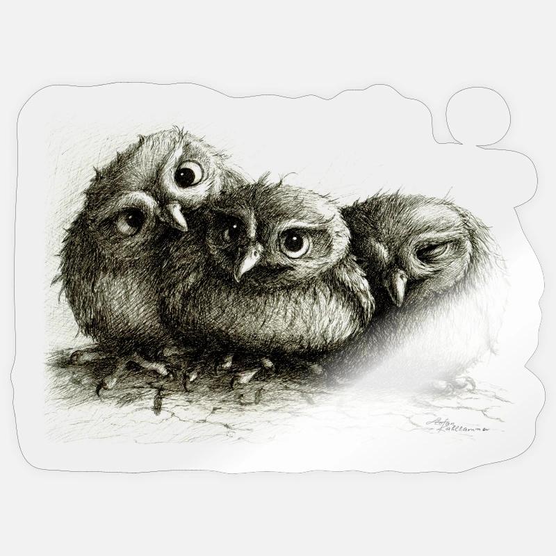 three young owls - Sticker size S (10 x 10 cm) - transparent glossy
