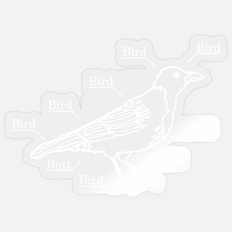 Ein Vogel wie ihn ein Physiker sieht - Sticker Größe S (10 x 10 cm) - Transparent glänzend