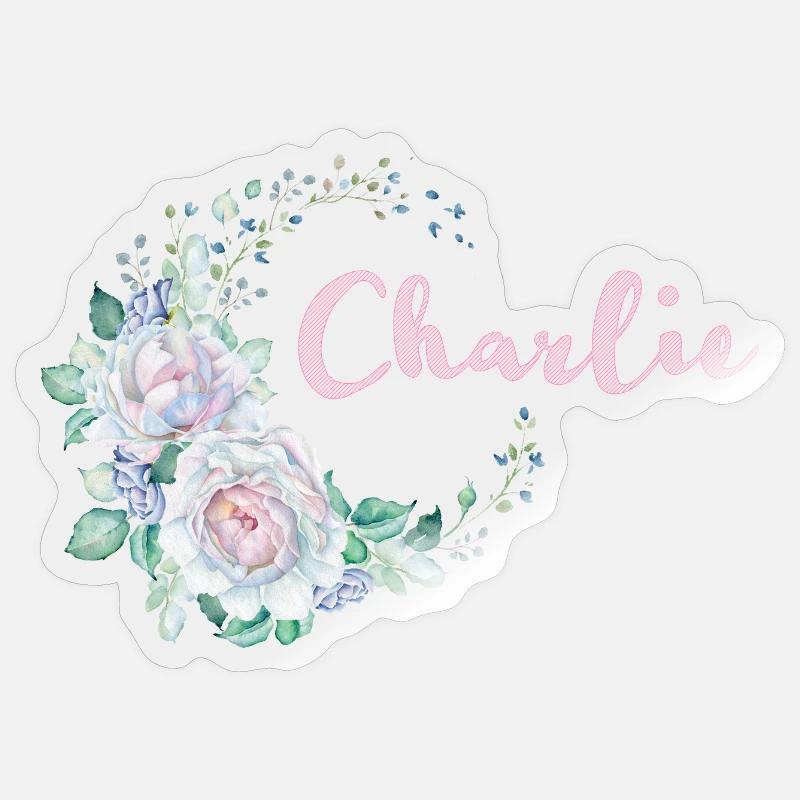 Til Charlie - Sticker størrelse S (10 x 10 cm) - gennemsigtig blank