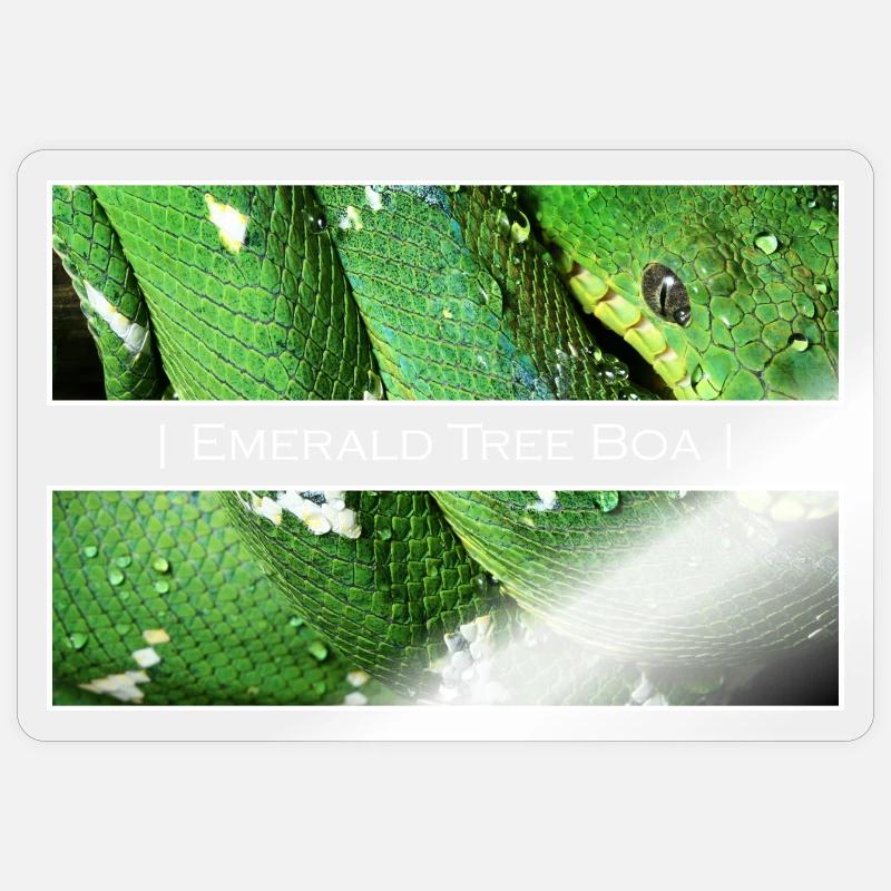 Smaragdbaum-Boa - Sticker Größe S (10 x 10 cm) - Transparent glänzend