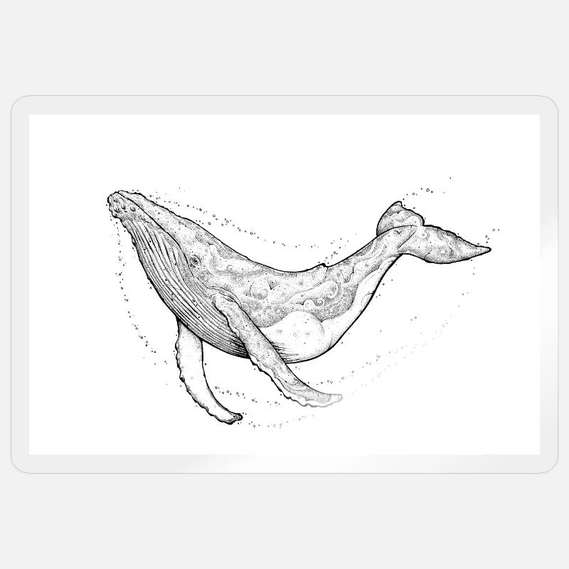 Buckelwal - Sticker Größe S (10 x 10 cm) - Transparent glänzend