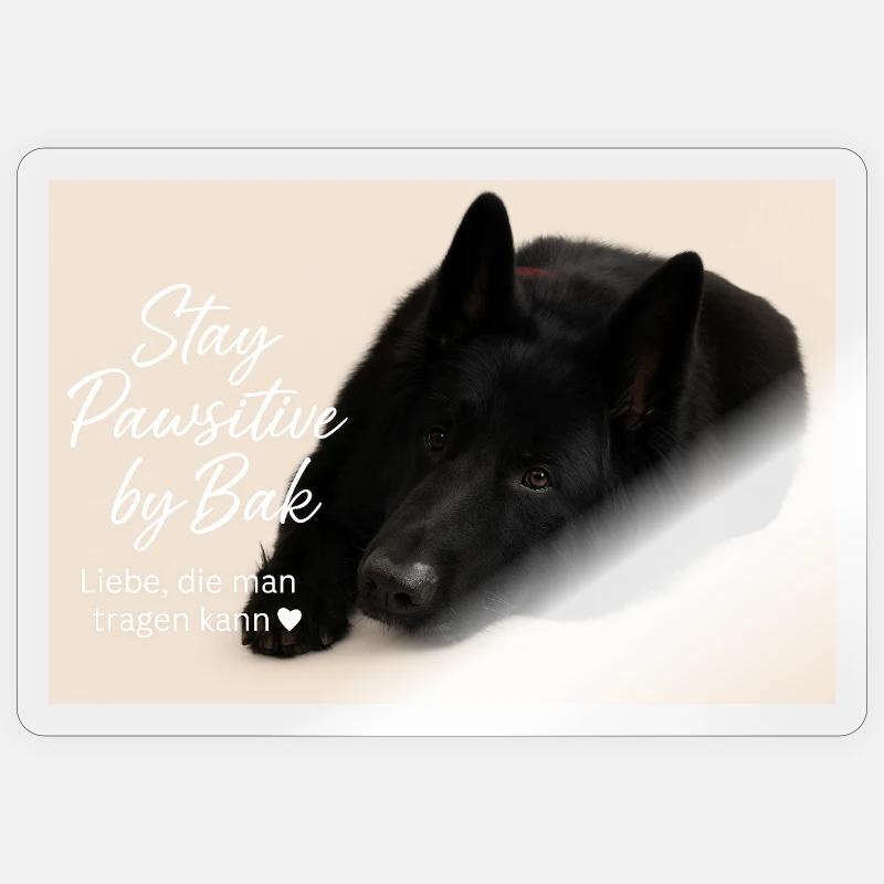 Bak - Sticker taille S (10 x 10 cm) - brillant transparent