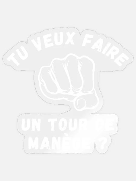 - Sticker taille S (10 x 10 cm) - brillant transparent