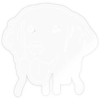 Golden retriever - Sticker Größe S (10 x 10 cm) - Transparent glänzend - Vorne