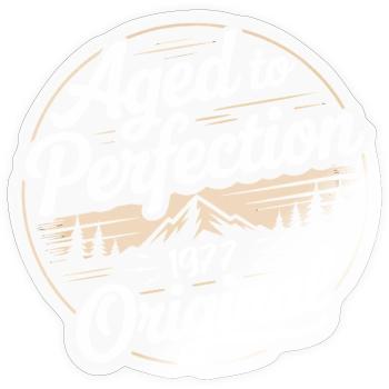 Vintage 1977 Born Retro Original 1977 - Sticker size S (10 x 10 cm) - transparent glossy - Front