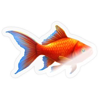 Goldfisch Nr.4 - Sticker Größe S (10 x 10 cm) - Transparent glänzend - Vorne