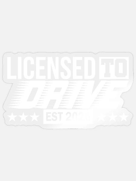 Führerschein 2026 Fahrprüfung Führerscheinprüfung - Sticker Größe S (10 x 10 cm) - Transparent glänzend