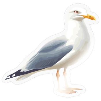 Küstenwolken Möwe - Sticker Größe S (10 x 10 cm) - Transparent glänzend - Vorne
