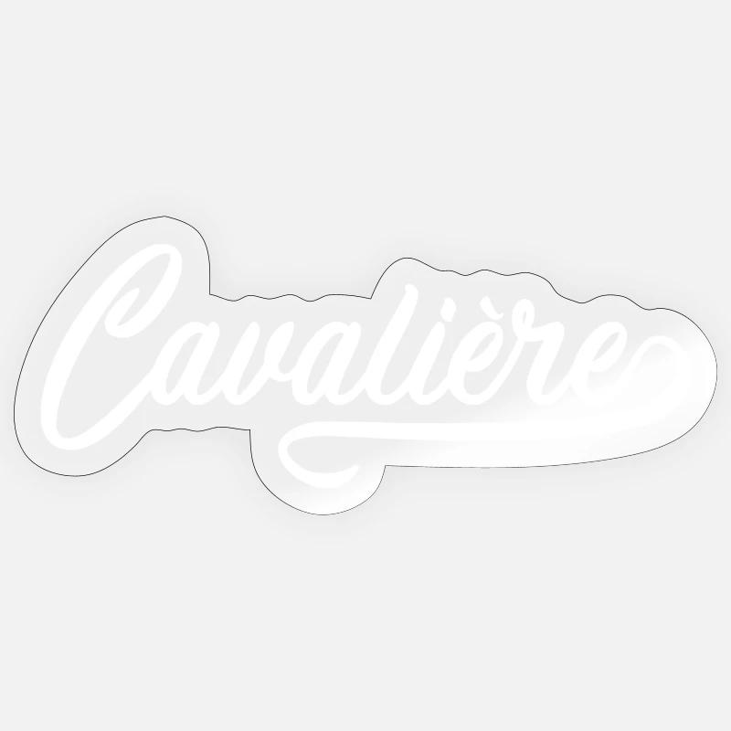 Oldtimer-Fahrer - Sticker Größe S (10 x 10 cm) - Transparent glänzend