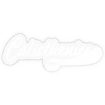 Calisthenics - Sticker size S (10 x 10 cm) - transparent glossy - Front