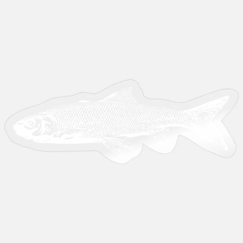 Trout fish Sticker size S (10 x 10 cm)