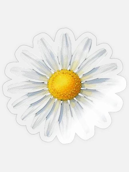 Gänseblümchen Blüte Blumen Geschenk - Sticker Größe S (10 x 10 cm) - Transparent glänzend
