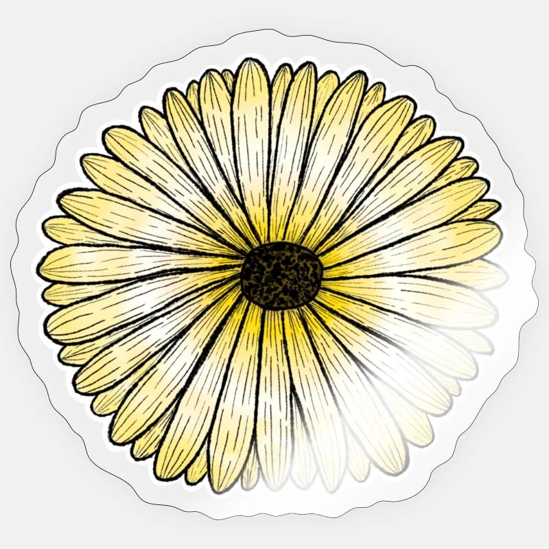 Gelbes Gänseblümchen - Sticker Größe S (10 x 10 cm) - Transparent glänzend