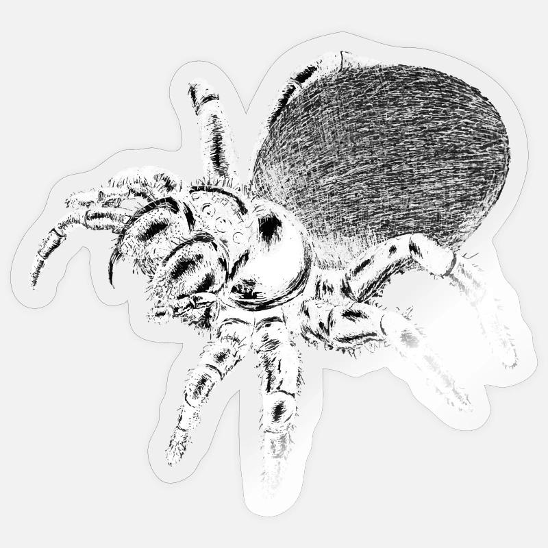 Spider - Insect Sticker size S (10 x 10 cm)