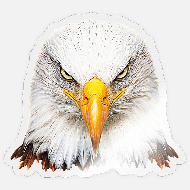 Bald eagle Sticker size S (10 x 10 cm)