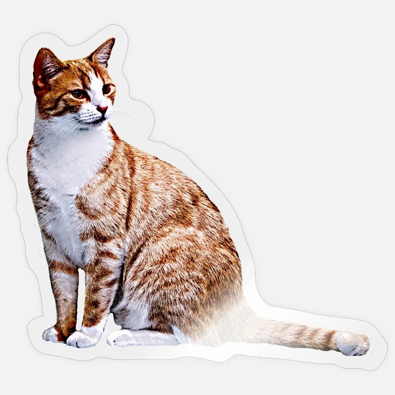 Chat Chat Chat Cat Cats Amour de chat Sticker taille S (10 x 10 cm)