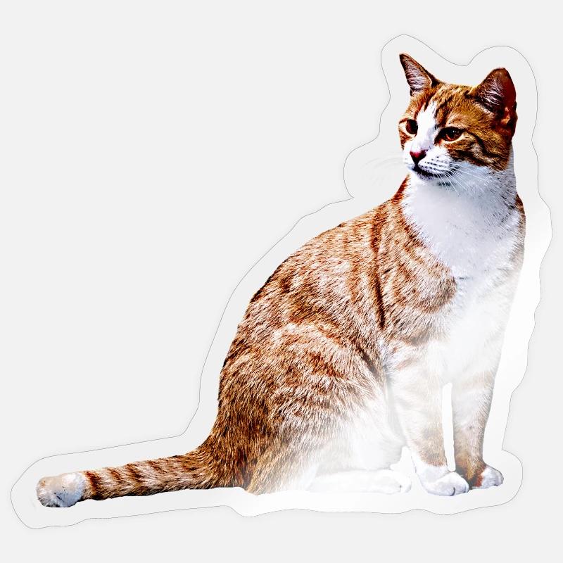 Chat chat chat Cat Cat Sticker taille S (10 x 10 cm)