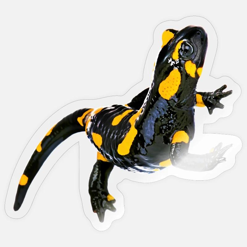 Feuersalamander Sticker Größe S (10 x 10 cm)