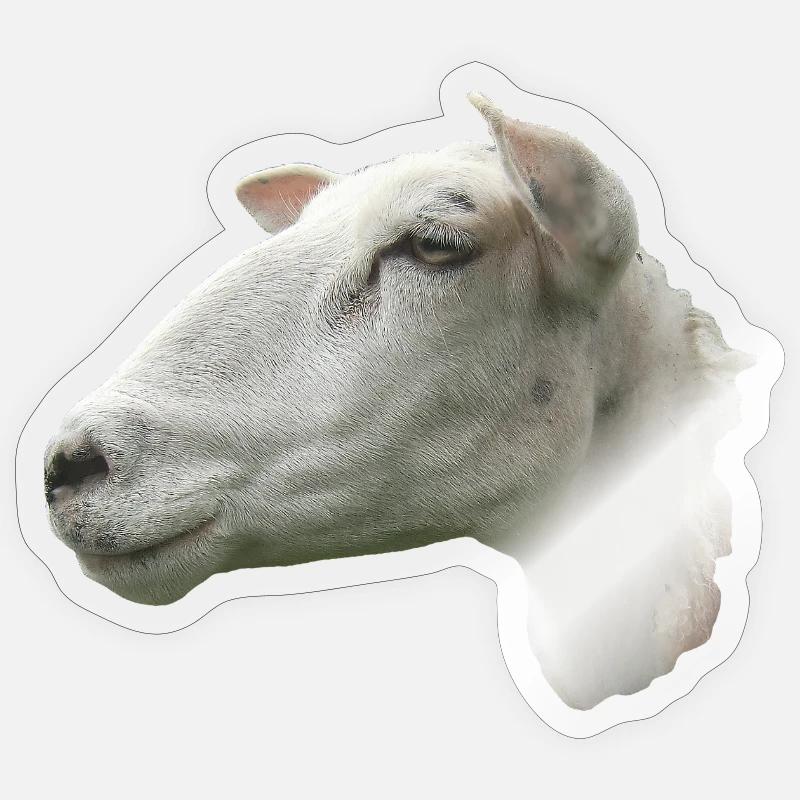 Schafkopf - Sticker Größe S (10 x 10 cm) - Transparent glänzend