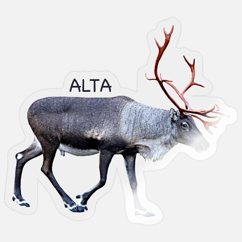 Alta - Sticker Größe S (10 x 10 cm) - Transparent glänzend