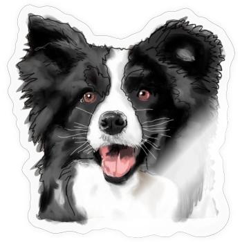 Border Collie - Sticker Größe S (10 x 10 cm) - Transparent glänzend - Vorne