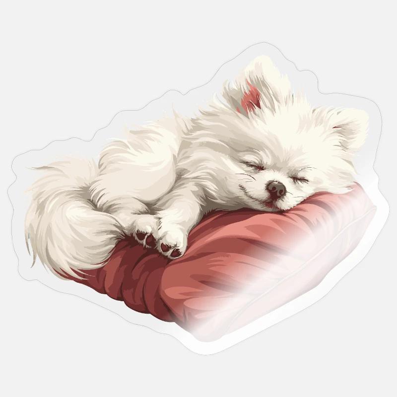 Sleeping Spitz puppy - Sticker size S (10 x 10 cm) - transparent glossy