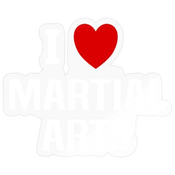 Ich liebe Kampfsport - Sticker Größe S (10 x 10 cm) - Transparent glänzend - Vorne