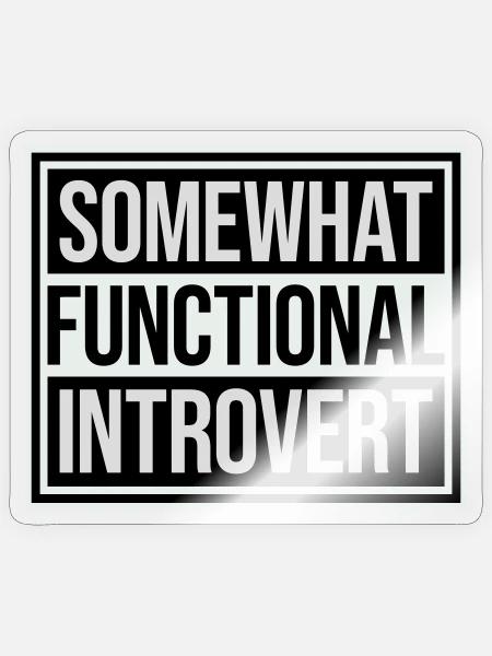Somewhat Functional Introvert Spruch Logo Text - Sticker Größe S (10 x 10 cm) - Transparent glänzend