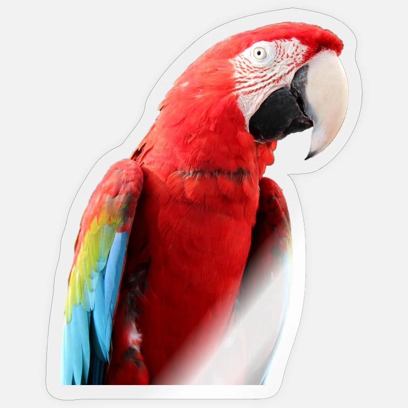 Sticker formato S (10 x 10 cm) - 