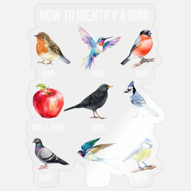 Funny Bird Nerd Design Comment identifier un oiseau Sticker taille S (10 x 10 cm)