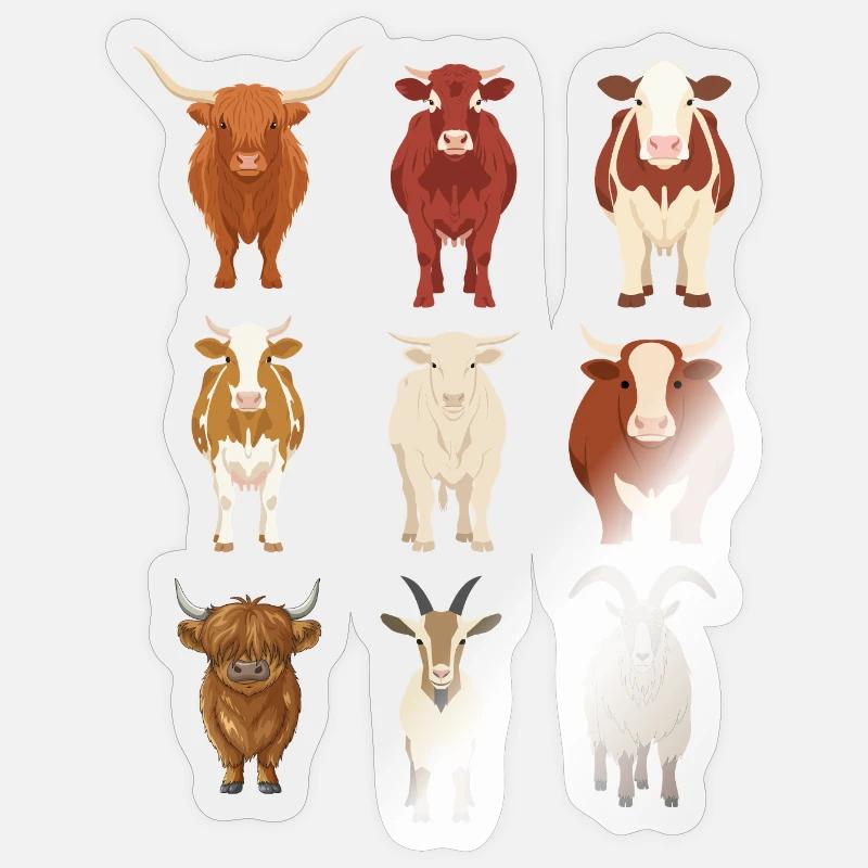 Cows gift idea - Sticker size S (10 x 10 cm) - transparent glossy