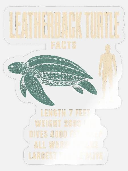 Leatherback Turtle Fakten Tierrekord - Sticker Größe S (10 x 10 cm) - Transparent glänzend