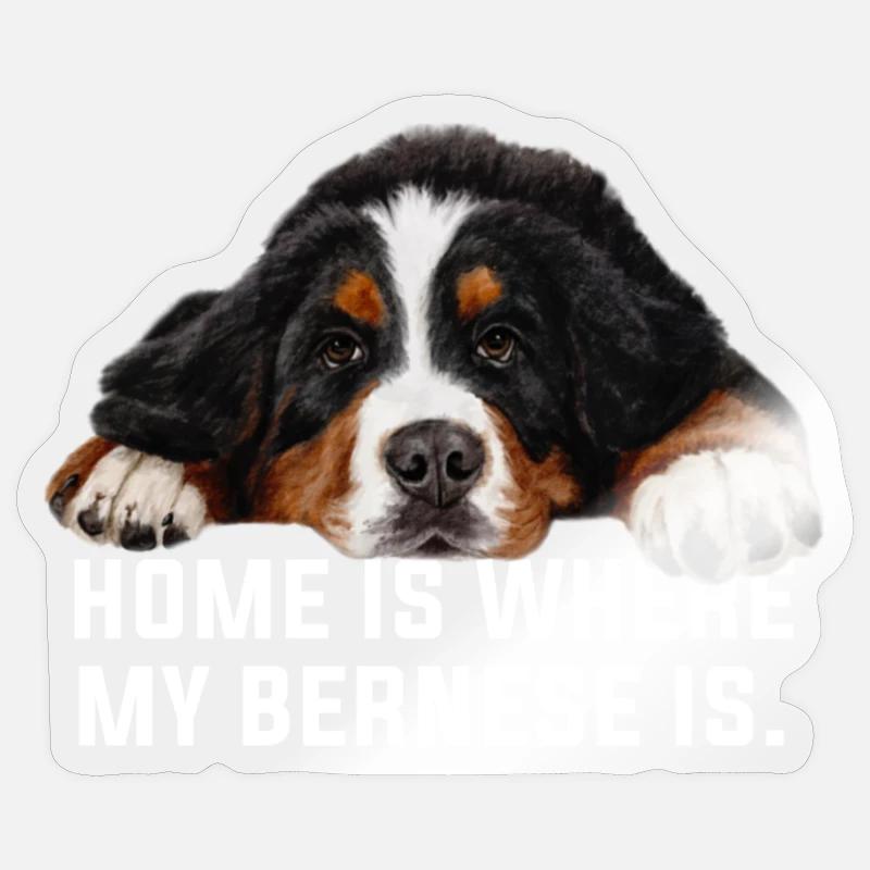 Berner Sennenhund - Sticker Größe S (10 x 10 cm) - Transparent glänzend