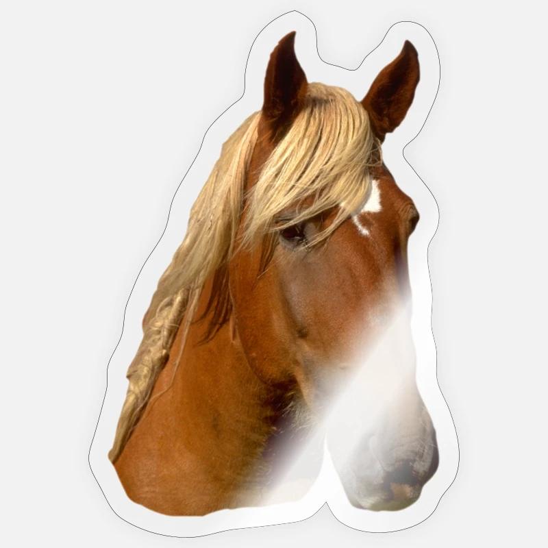 Pferd frontal Sticker Größe S (10 x 10 cm)