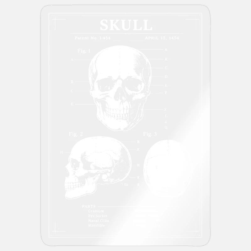 Röntgenschädel-Bauplan - Sticker Größe S (10 x 10 cm) - Transparent glänzend