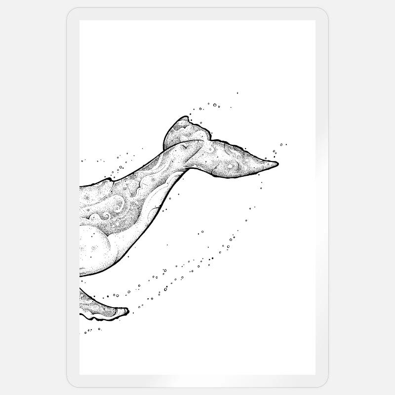 Baleine à bosse B - Sticker taille S (10 x 10 cm) - brillant transparent