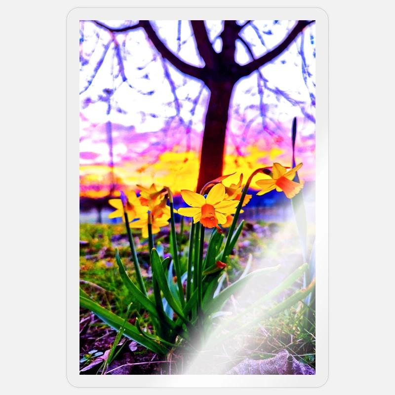 Daffodils at sunset - Sticker size S (10 x 10 cm) - transparent glossy