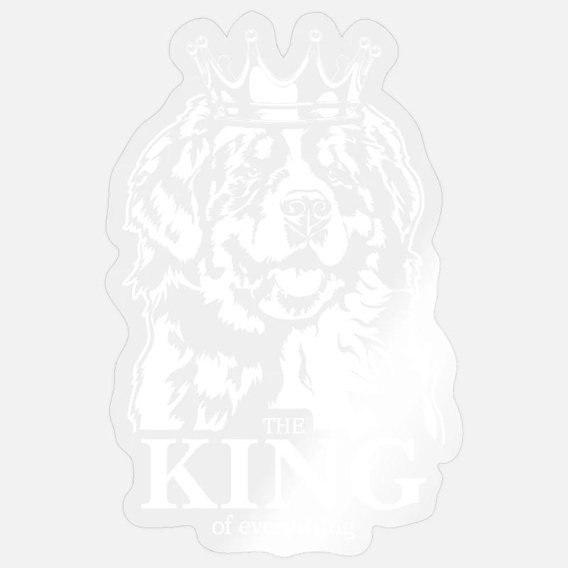Sticker formato S (10 x 10 cm) - 