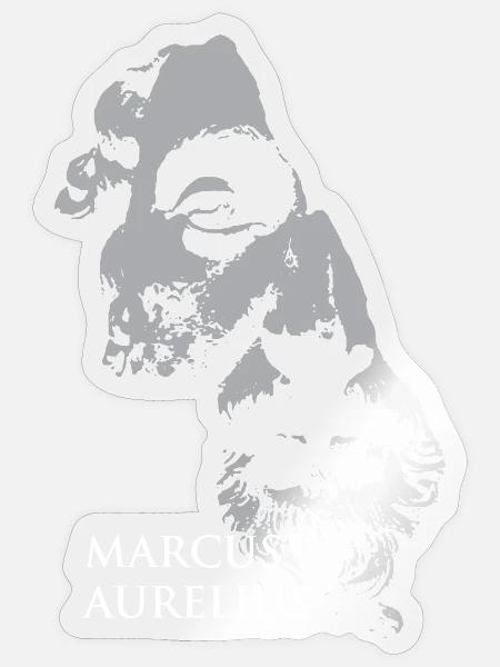 Marcus-Aurelius-Porträt in Grau - Sticker Größe S (10 x 10 cm) - Transparent glänzend