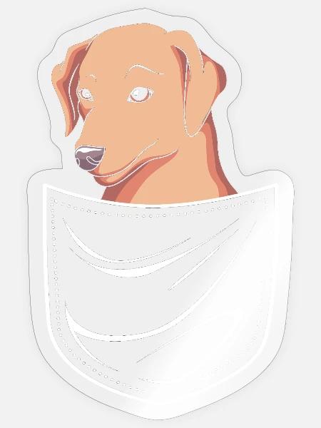 Chesapeake Bay Retriever - Sticker Größe S (10 x 10 cm) - Transparent glänzend