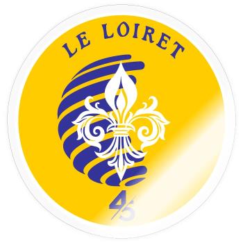 Fleur de Lys Loiret 45 - Sticker size S (10 x 10 cm) - transparent glossy - Front