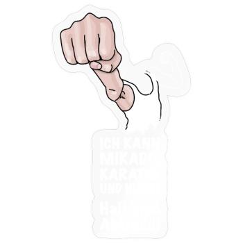 Karate, Kung Fuh - Sticker Größe S (10 x 10 cm) - Transparent glänzend - Vorne